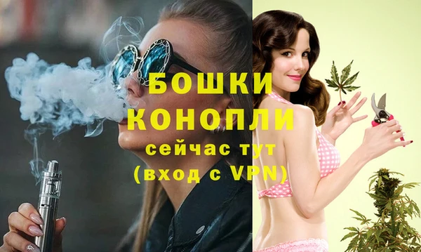 spice Вязьма